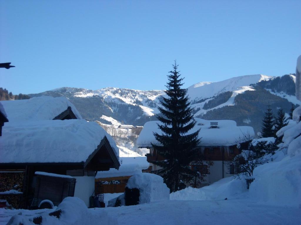 Haus Rieder Georg Apartamento Maria Alm am Steinernen Meer Exterior foto