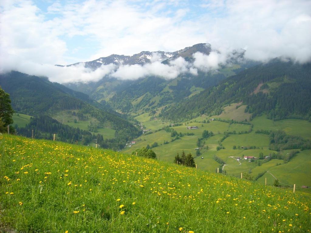 Haus Rieder Georg Apartamento Maria Alm am Steinernen Meer Exterior foto